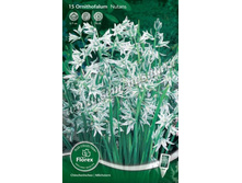 ������������ ��������.jpg