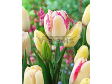 30,03���. ������� ���������(��� 7 ��. ���������� ������ 3 ��� 4 ��.)���16.jpg