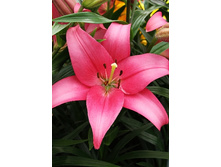 21,8���. ����� ������(��� 7 ��. ���������� ������ 3 ��� 4 ��.).jpg