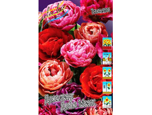 43,78���. ������� �������� ���� ����(�������� ���� �� 10 ��., ����������� ����� 1��.).jpg