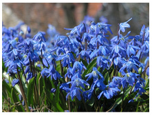 �������� 30���.jpg