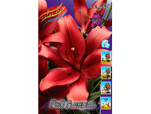 20,19���. ����� ��� �����(��� 7 ��. ���������� ������ 3 ��� 4 ��.).jpg