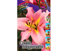 26,59���. ����� ����� ��������(��� 10 ��. ���������� ������ 5��.).jpg