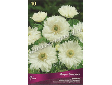 ������� ����� �������.jpg