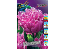 24,11���. ������� ���������(��� 10 ��. ���������� ������ 5��.).jpg