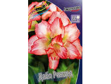 336,7���. ��������� ���� ������(�������� ���� �� 1 ��., ����������� ����� 1��.).jpg