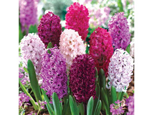 ������� ����� �������.jpeg