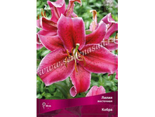 ����� �����.jpg