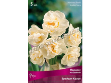 ������� ������� �����.jpg