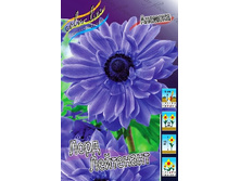 5,53���. ������� ���� ���������(���������� ������ ������ ���������� �� 15 ��.).jpg