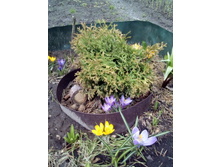 IMG 20160424 122009.jpg