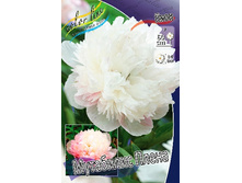 208,4���. ���� ��������� �����(�������� ���� �� 1 ��., ����������� ����� 1��.).jpg