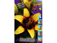 28,9���. ����� �������(��� 5 ��. ���������� ������ 2 ��� 3 ��.).jpg