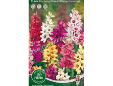 ����� ����� �������.jpg