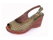 51-ED-02 Z ����� ������ ��������, �������, ���.����, �.�������, ���.����, ����������.jpg