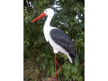 ���� �������