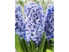 33,24���. ������� ��� �����(��� 5 ��. ���������� ������ 2 ��� 3 ��.).jpg