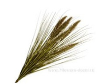 4606500502189 ����� ������������� �������, 64�� 96 737,15.jpg