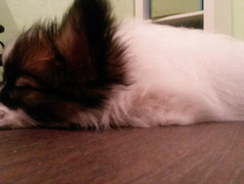 ���� 2 ������