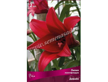 ����� ������.jpg