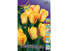 17,56���. ������� �������(��� 10 ��. ���������� ������ 5��.).jpg