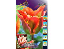 17,56���. ������� ������(��� 10 ��. ���������� ������ 5��.).jpg