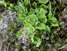 IMG 20160509 175703.jpg