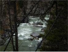 DSCN1466.jpg