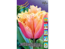 18,5���. ������� �������(��� 10 ��. ���������� ������ 5��.).jpg