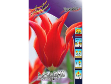 16,62���. ������� �������(��� 10 ��. ���������� ������ 5��.).jpg