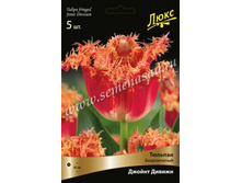 ������� ������ ������.jpg