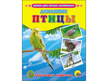 1462455404 fa179129b64dc623f38779d0fc48b4a1.png