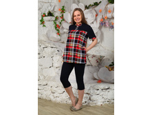 No31 ������