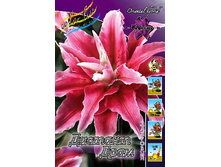 61,28���. ����� ������� ����(�������� ���� �� 5 ��., ����������� ����� 1��.).jpg