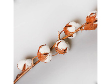 ����� ������, 60 �� 270�.jpg