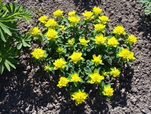 20160515 095037.jpg