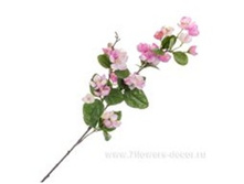 3661864017251 ����� ������������� ������, 74�� 120 399,05.jpg