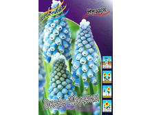 12,69���. ������� ����� ������(���������� ������ ������ ���������� �� 10 ��.).jpg