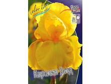 91,55���. ���� ���������� ������� ����(�������� ���� �� 2 ��., ����������� ����� 1��.).jpg