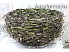 ������ ��� ������