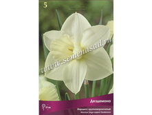 ������� ���������.jpg