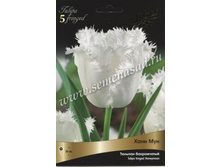 ������� ���� ���.jpg