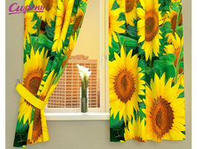 01142 ��������� "����������"