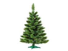 ������ ����� ������ �� ����