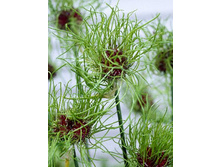 13,58���. ��� �����. ����(���������� ������ ������ ���������� �� 15 ��.).jpg