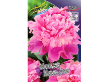 174,6���. ���� ������ ���� ���(�������� ���� �� 1 ��., ����������� ����� 1��.).jpg