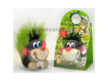 144 ��������� ��������