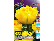 23,18���. ������� ��������(��� 10 ��. ���������� ������ 5��.).jpg