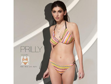 ��������� PRILI.jpg