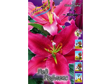 26,3���. ����� ��� �������(��� 7 ��. ���������� ������ 3 ��� 4 ��.).jpg